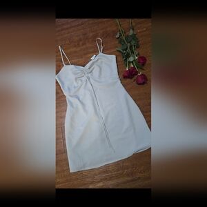 Papaya Light Gray Mini Dress